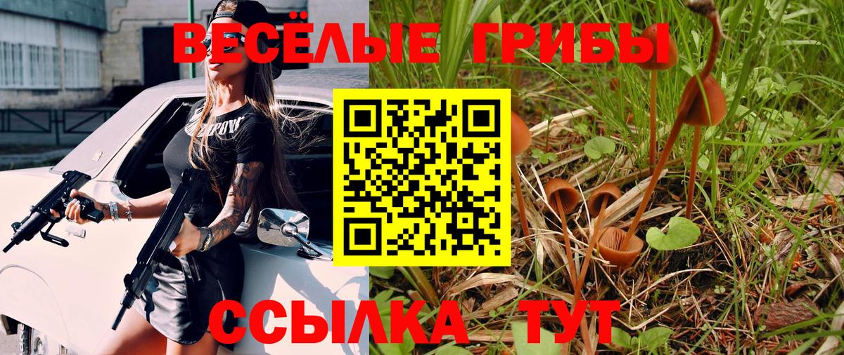 Галлюциногенные грибы Psilocybe Полевской