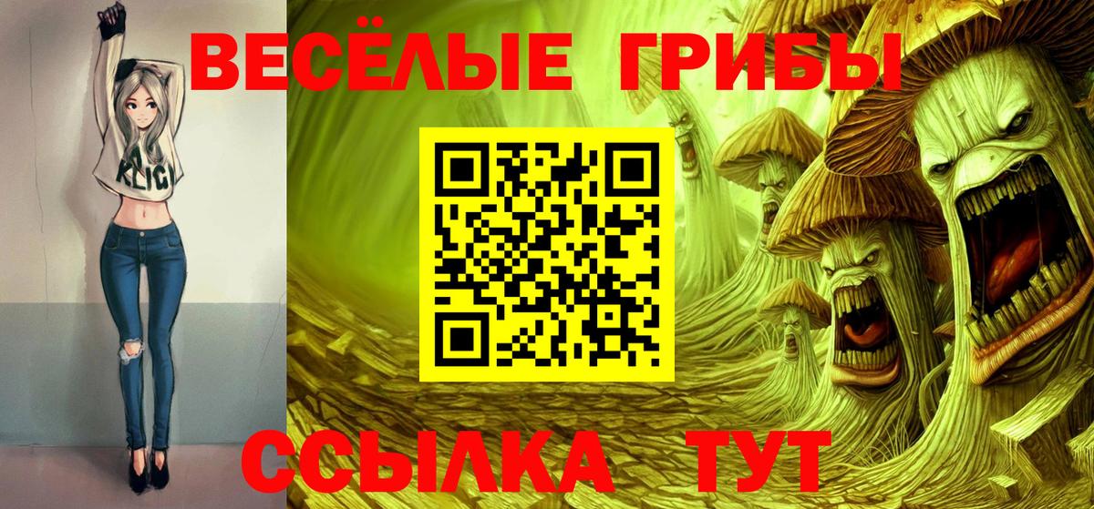Полевской  Галлюциногенные грибы Psilocybine cubensis  продажа наркотиков  Галлюциногенные грибы Cubensis  Вход с VPN 